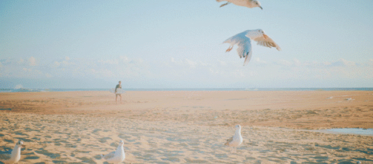 La fin du printemps météorologique a été marquée par une chaleur inédite en mai.