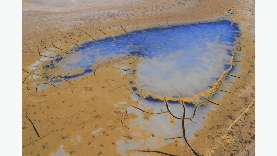 De sel et d'eau : la vie ! par Marc Thedon