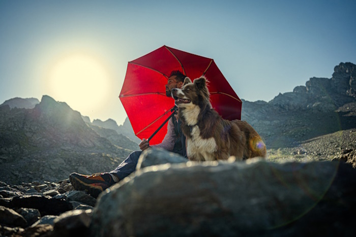 Un parapluie sous le soleil – Ancelin Faure