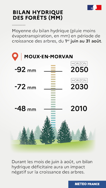 Bilan hydrique des forêts © Météo-France