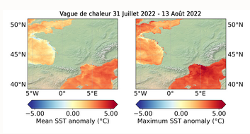 Anomalies de température de surface des mers et océans entre le 31 juillet et le 13 août 2022, lors d'une vague de chaleur. © Météo-France