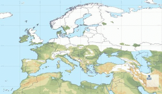 Épaisseur de neige au sol supérieure à 10 cm (en blanc) prévue le mardi 9 février 2021. © Modèle du Centre européen pour les prévisions météorologiques à moyen terme, développé en partenariat avec Météo-France.