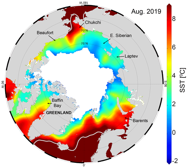Température de surface de la mer en août 2019 ©  NSIDC