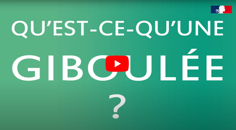 Vidéo tout savoir sur les giboulées © Météo-France