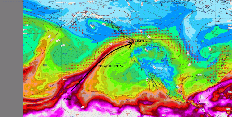 Champs « eau précipitable » (représentant le contenu en eau de l’atmosphère), modèle du CEPMMT, pression réduite au niveau de la mer et courant jet d’altitude, lundi 15 novembre 2021 à 00 h. La Pineapple Express porte bien son nom : on relie Hawaï à Vancouver à 230 km/h en haute troposphère (soit environ 18 heures)… sans aucune émission de CO2 ! © Météo-France.