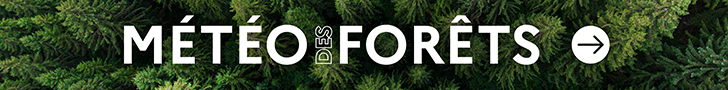 Météo des forêts