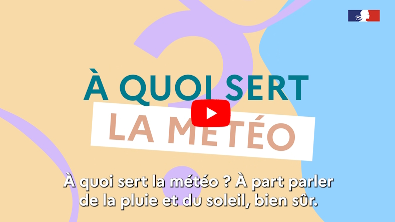 Miniature bulletin dailymotion