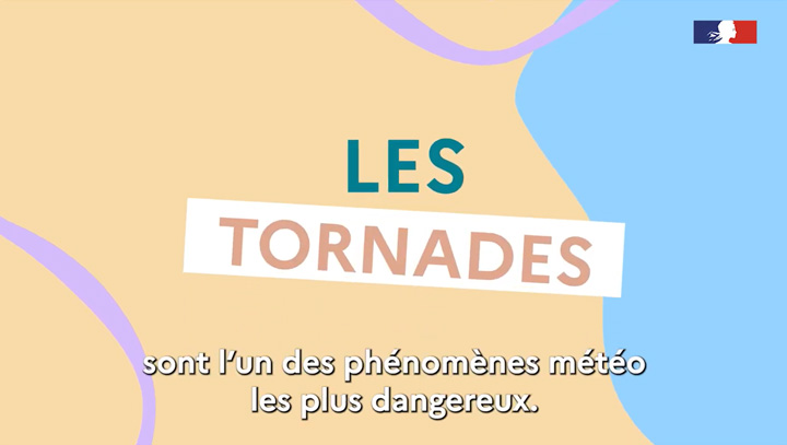 Miniature bulletin dailymotion