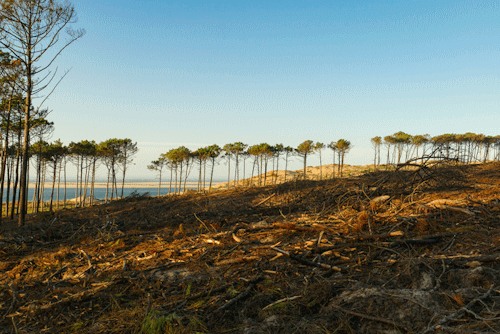 Concours Photo L’Œil Du Climat : Votez Pour Le Prix Du Public Et Le 