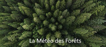 La Météo des Forêts © Météo-France