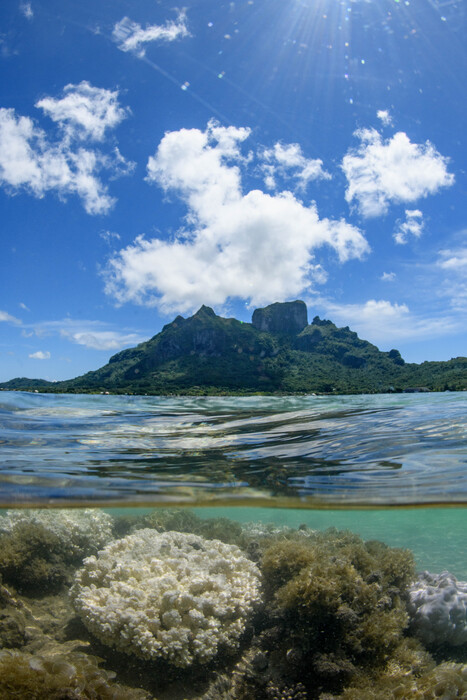 L'île de Bora-bora, la perle du Pacifique en Polynésie française, possède un des plus beaux lagon au monde