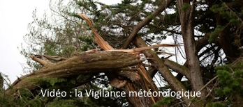 Vidéo : la Vigilance météorologique © Météo-France