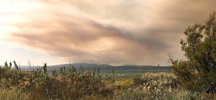 Les effets d'un incendie de forêt