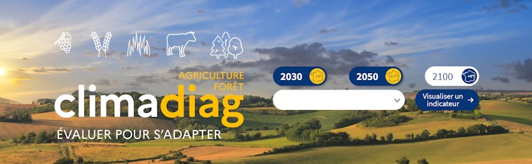 Climadiag Agriculture et Forêt