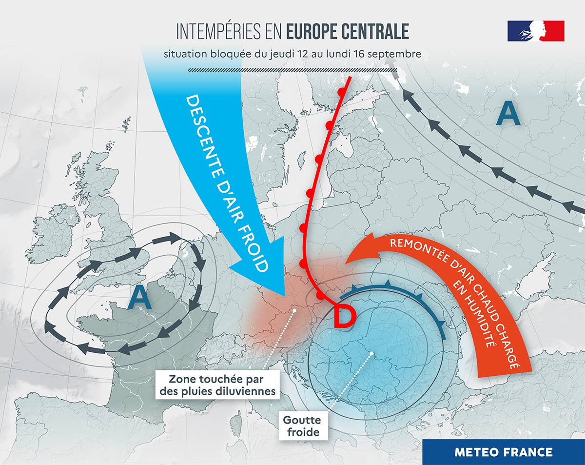 Infographie