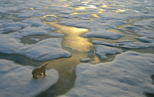 La neige et la cryosphère sont au cœur du système climatique global.