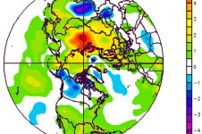  Anomalies de la température à 1000 hPa sur la période de janvier à juin 2020 - © NCEP/NCAR