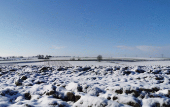 Il a souvent neigé même en plaine comme ici à Forceville (80) le 25 janvier