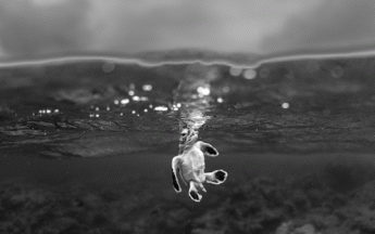 Le prix du Public : « À bout de souffle » par Théo Guillaume