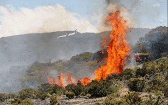Un incendie ravage depuis vendredi le massif du Maïdo sur l'île de La Réunion