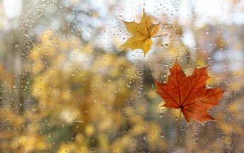 Illustration pluie automne