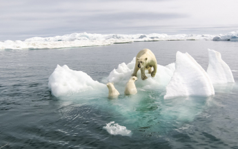 Illustration fonte en Arctique - © Getty Images