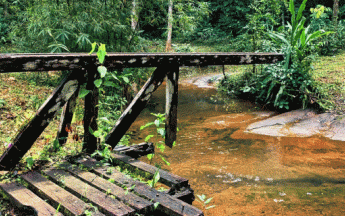 Image d'illustration. Pont brisé par les inondations en Guyane.