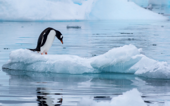 Il n'y a jamais eu aussi peu de glace au pic de l'été austral autour de l 'Antarctique.