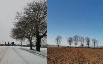 Ittenheim (67) à gauche le 10 février et à droite le 21 février