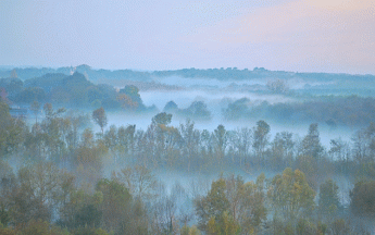 Les brouillards matinaux vont avoir du mal à se lever ce week-end.