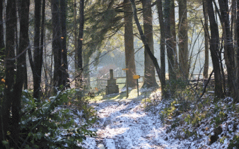 La nuit de la Saint-Sylvestre sera froide, avec des gelées parfois fortes. 