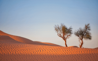 Espagne et Maroc : une vague de chaleur exceptionnelle