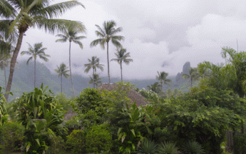 De fortes pluies concernent Tahiti 