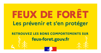 Feux de Forêts : Les Bons Comportements