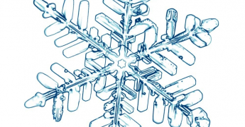 Les cristaux de neige