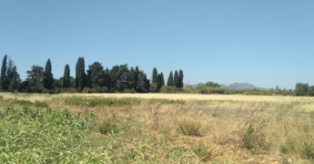 Juillet 2022 le mois de juillet le plus sec jamais enregistré