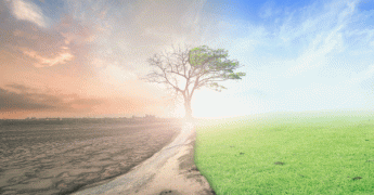 COP 26 : tout savoir sur l'évolution du climat