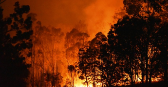 Assistance météorologique à la prévision des dangers d'incendies de forêts et de végétation