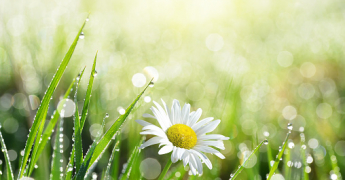 Un temps frais et humide