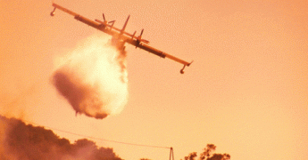 Feux de forêt : connaissez-vous les bons gestes ?