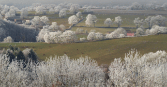 Vers un Noël doux et humide après encore de fortes gelées