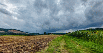 Juillet 2021 : Souvent frais et pluvieux