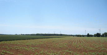 Pour le premier jour de l’été, le thermomètre s’est mis au diapason de la saison