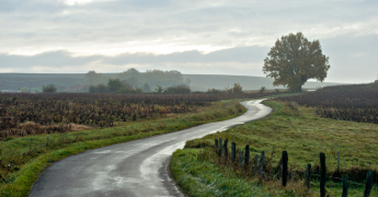 Météo du week end de Noël : une légère accalmie