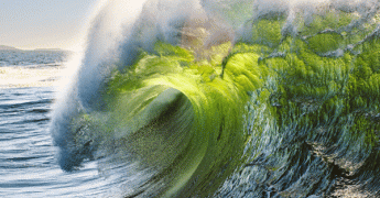 El Niño est de retour : quelles conséquences à l’échelle mondiale et en Europe ?