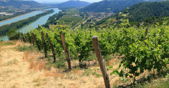 Météo du week-end : les fortes chaleurs s’installent sur le Sud-Est