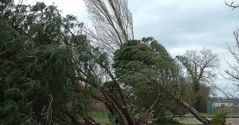 Les vents violents et les tempêtes