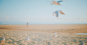 Le temps cette semaine : fortes chaleurs avant une nette dégradation