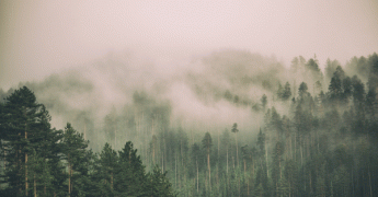 Pluies marquées, crues et neiges très abondantes sur le Sud-Ouest