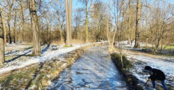 Des hivers de moins en moins froids ?